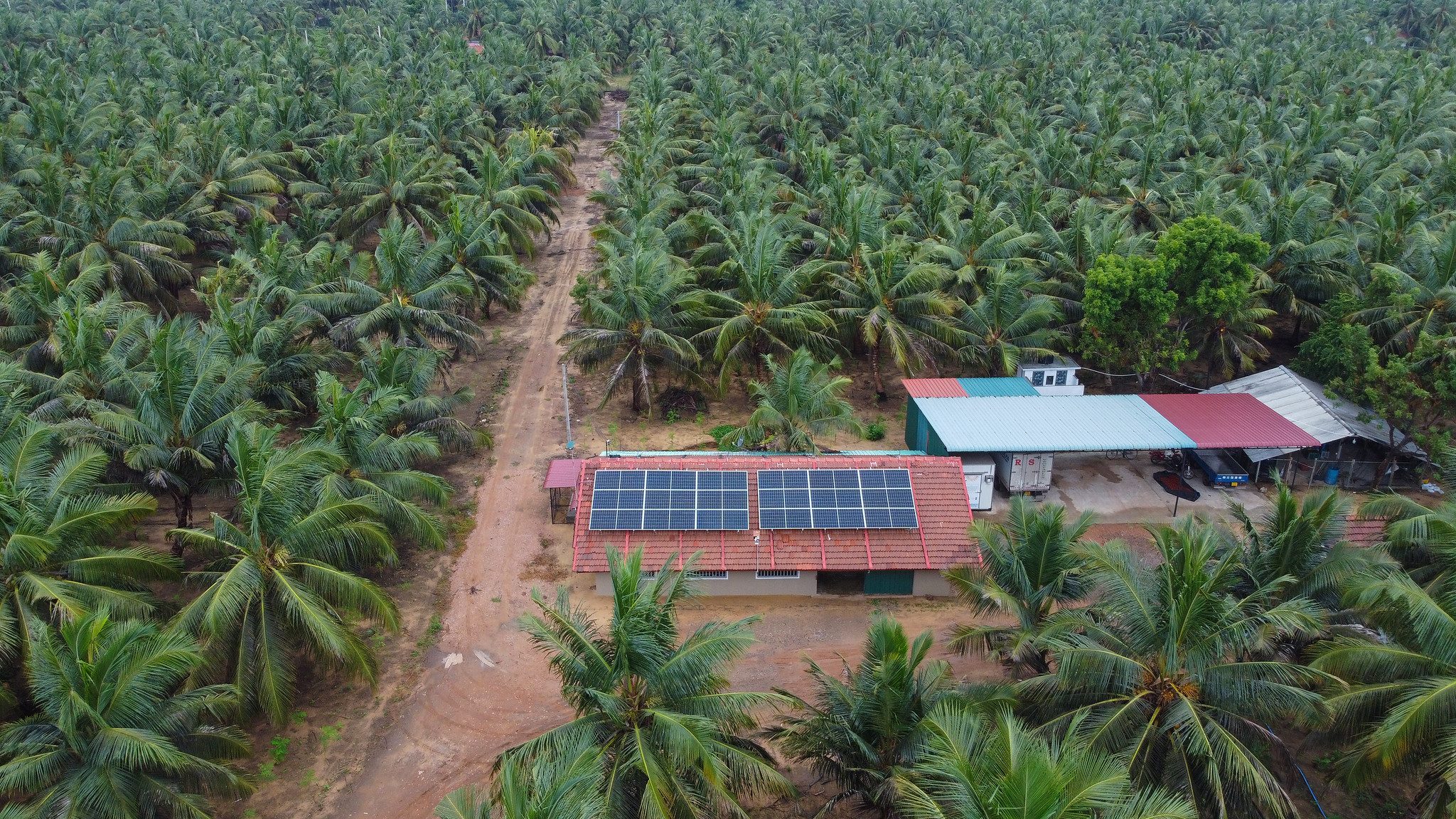 Les économies réalisées grâce aux énergies renouvelables permettent aux agriculteurs du Sri Lanka d’investir dans de nouvelles entreprises. Photo: PNUD Sri Lanka Les économies réalisées grâce aux énergies renouvelables permettent aux agriculteurs du Sri Lanka d’investir dans de nouvelles entreprises.
